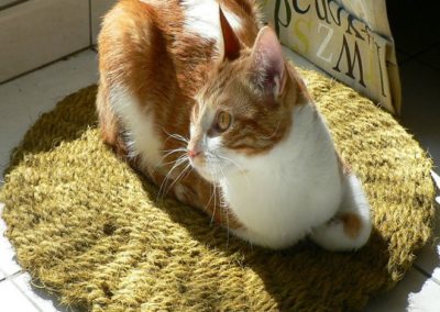 salon-vivre-cote-sud-aix-en-provence-la-scourtinerie-4